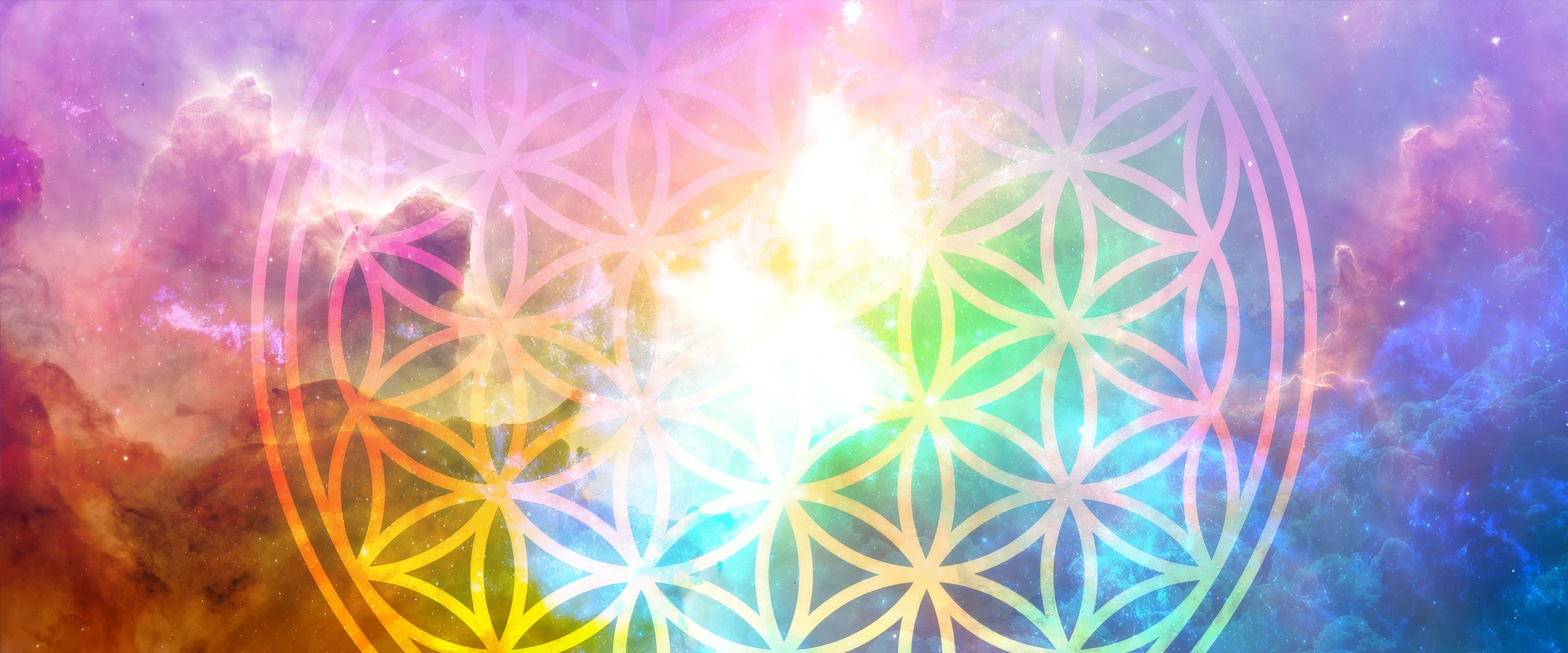 ワークショップ